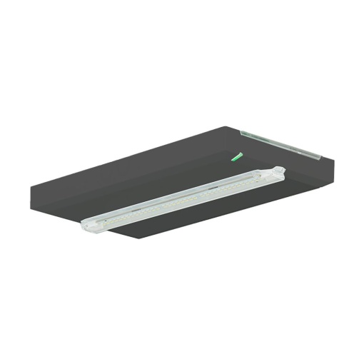 FT2 SE, metal cover, Dark Grey