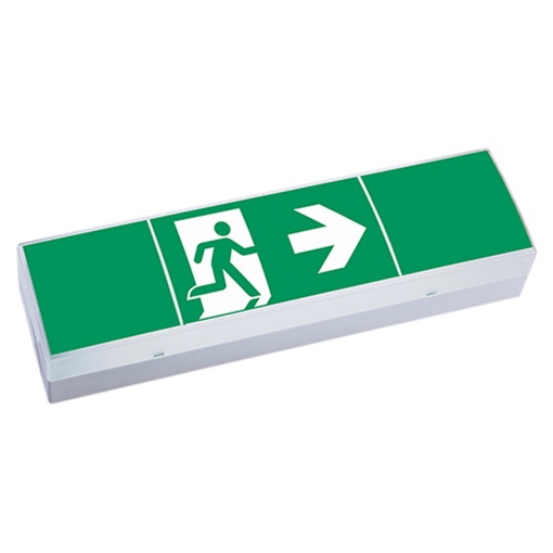 SLRZ 51011 CG-S ISO 7010