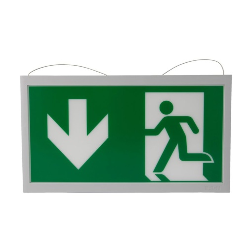 GuideLed pictogram DBL, wire susp. 30m