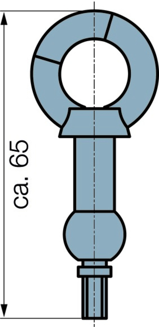 RS4 EYE BOLT M5 WITH BALL JOINT