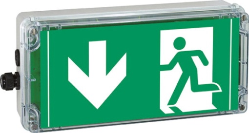 Ex-escape sign luminaires EXIT for zone 121, Pictogram DIN ISO 7010, Arrow 6 Clock