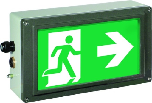 Ex-escape sign luminaires EX-LITE for zone 121, Pictogram DIN ISO 7010, Arrow 3 Clock