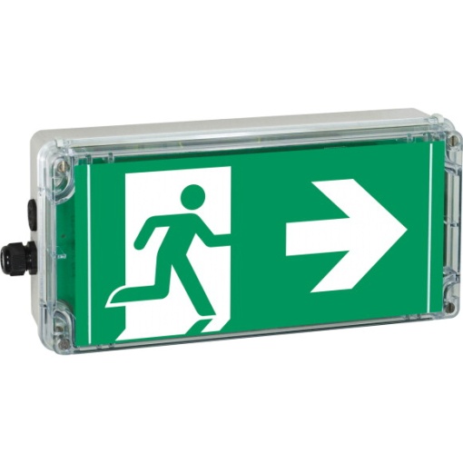 Ex-escape sign luminaires EXIT 2 V-CG-S for zone 222, Pictogram DIN ISO 7010, Arrow 9 Clock