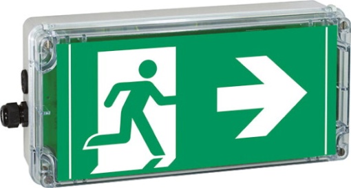Ex-escape sign luminaires EXIT 2 V-CG-S for zone 222, Pictogram DIN ISO 7010, Arrow 3 Clock