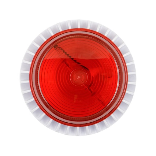 FLRLWD 12V TONE 8 SEPERATE