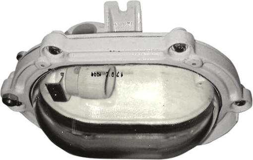 WALL MOUNTING LUMINARIE ExdIIB AB80 34&apos,