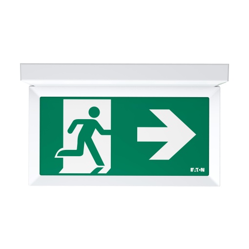 FT Exit Dual 20m WLS, 1-8H