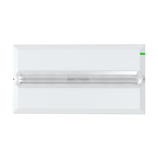 FT Escape 300lm WLS, 1-3H, IP