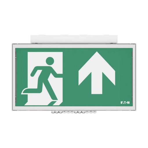 FT Exit Ceiling 30m UP WLS, 1-8H, IP