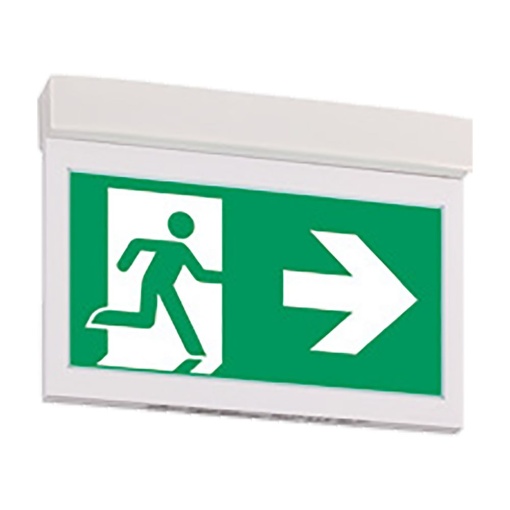 GuideLed Chain suspension f. 10021 CG-S