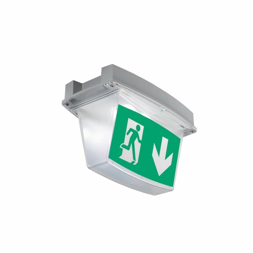 i-P65 LED 230V CEAG SLAVE DBL SIDE EXIT
