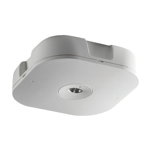 MP2 SURFACE 1H MTD OPEN CW INTELLEM