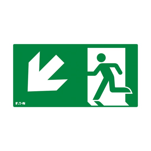 PICTO ISO7010-E002 DL SS NEX 20M