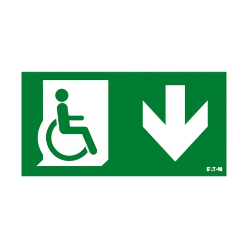 PICTO ISO7010-E002 DMD SS NEX 20M