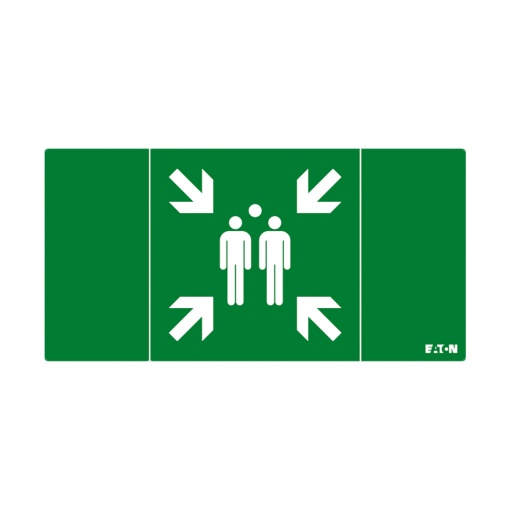 PICTO ISO7010-E002 MP SS NEX 20M