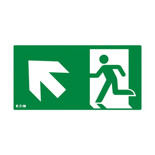 PICTO ISO7010-E002 UL SS NEX 20M