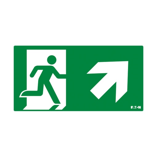 PICTO ISO7010-E002 UR SS NEX 20M