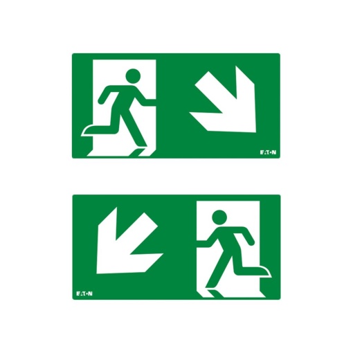 PICTO ISO7010-E002 DLR DS NEX 30M