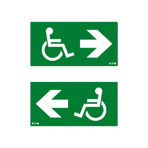 PICTO ISO7010-E002 DMLR DS NEX 30M