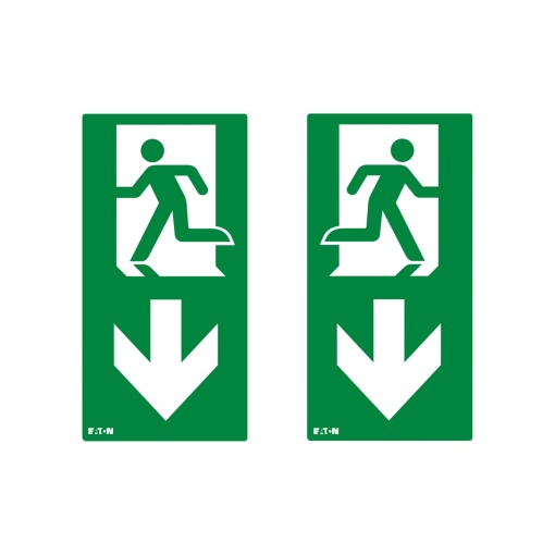 PICTO ISO7010-E002 VDD DS NEX 30M