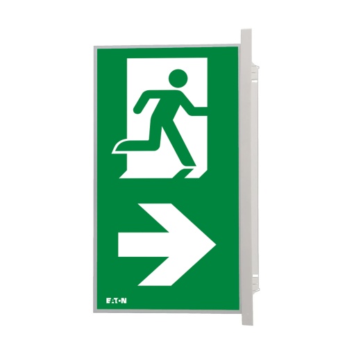 PICTO ISO7010-E002 VLR DS NEX 30M