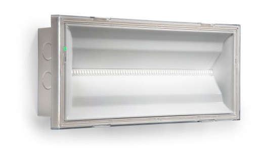 NEXILITE 10001H 5002H MNM IP65