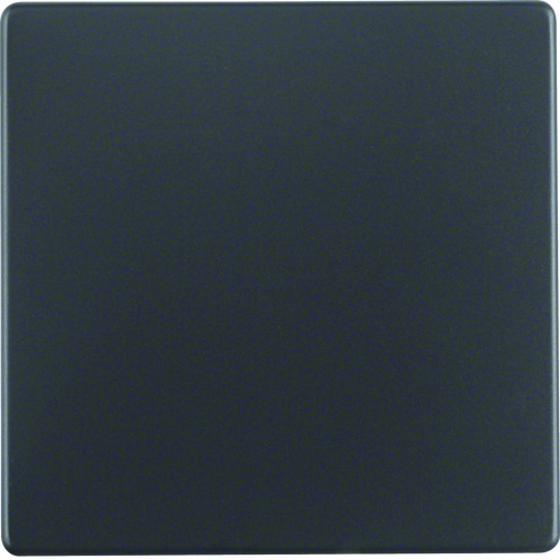 Tecla Berker para interruptor Berker Série Q.x antracite, incluindo