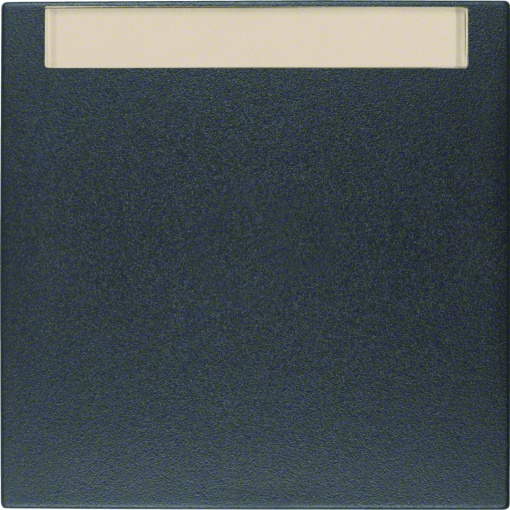 S.1B.x - tecla p-etiq, antrac mate