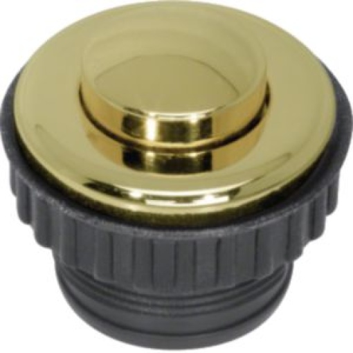 TS  botão dourado