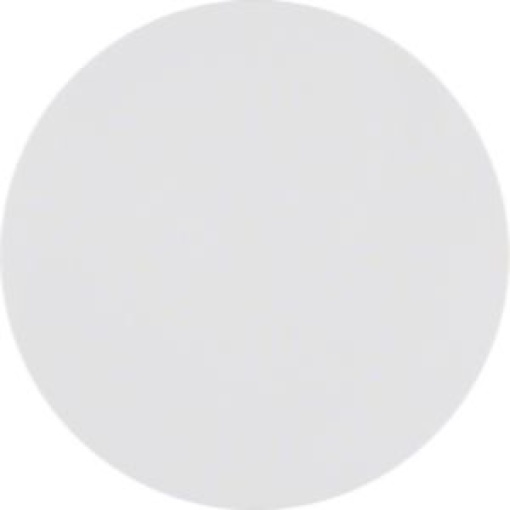 R1R3  tecla simples branco