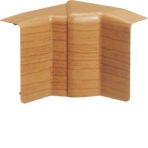 Ânginterior var SL20055 faia