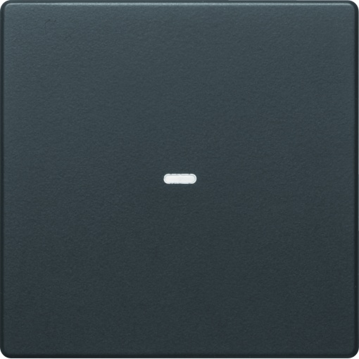 Tampa p BP KNX Q.x 1 tecla c BCU, antr