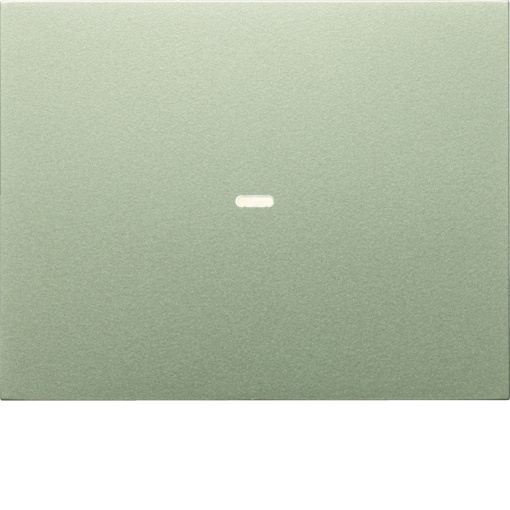 Tampa p BP KNX K.x 1 tecla c BCU, inox