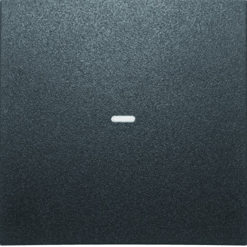 Tampa p BP KNX S.x 1 tecla c BCU, antr