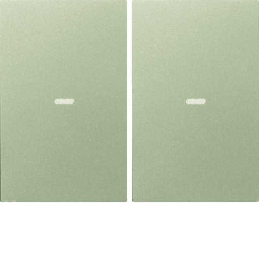 Tampa p BP KNX K.x 2 teclas cBCU, inox