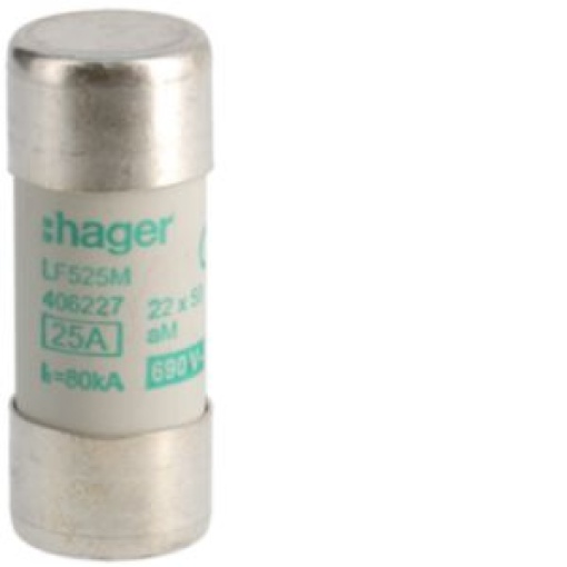Fusível 22x58 aM 25A 690V