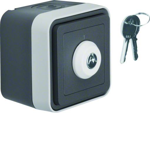 cubyko s - Interrup. chave c2 pos, cinz