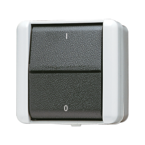 Interruptor bipolar simb. I0 WG 800