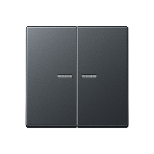 Tecla doble con visor JH A antracita