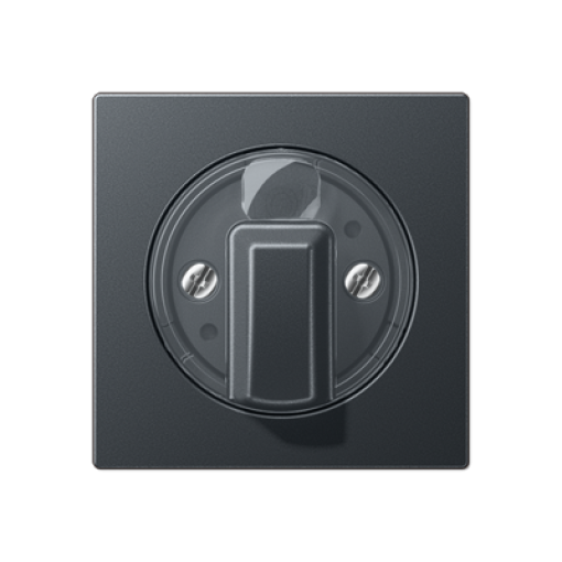 Placa interruptor giratorio A antracita