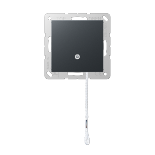 Interruptor c tirador A antracita