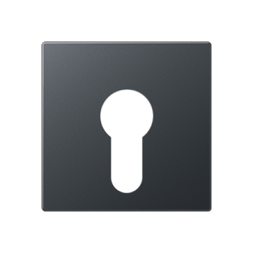 Placa interruptor llave A antracita