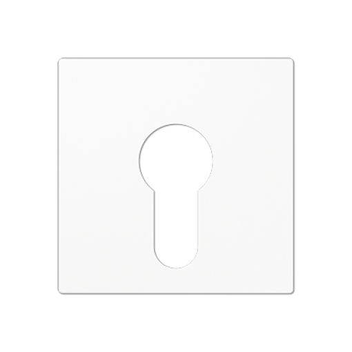 Placa interruptor llave A blanco alpino