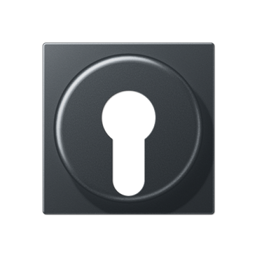 Placa interruptor llave A antracita