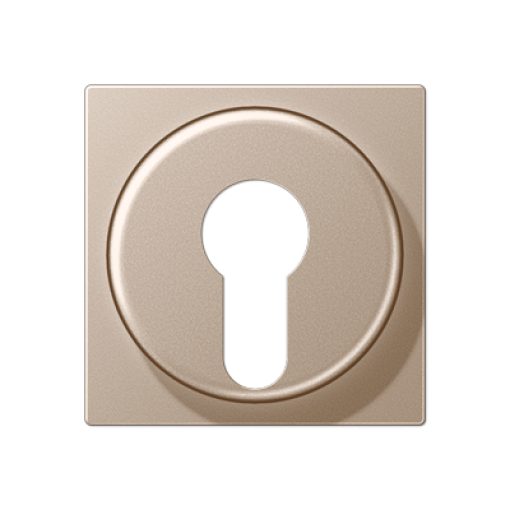 Placa interruptor llave A cava