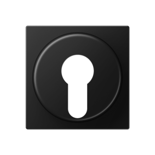 Placa interruptor llave A negro mate