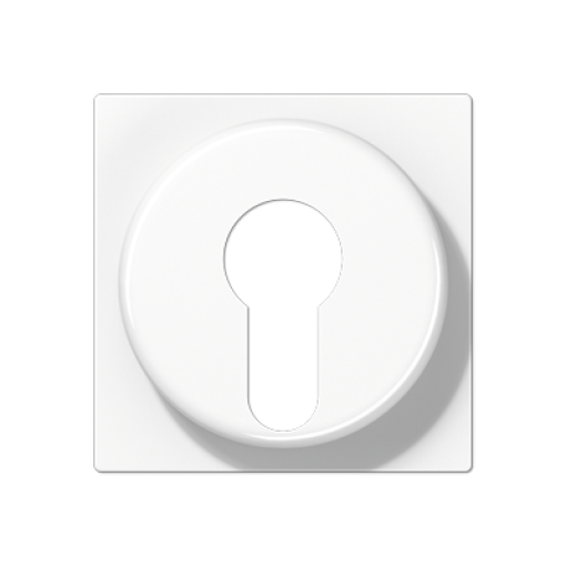 Placa interruptor llave A blanco alpino