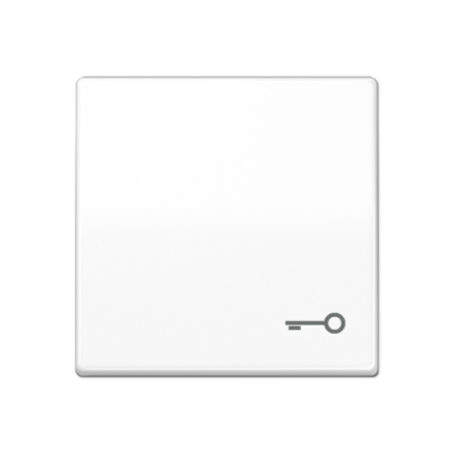 Tecla csimb. puerta AS blanco alpino