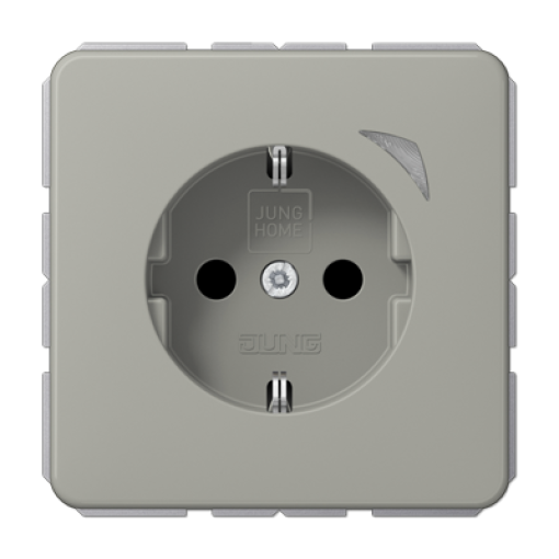 Enchufe JUNG HOME Energy CD platino