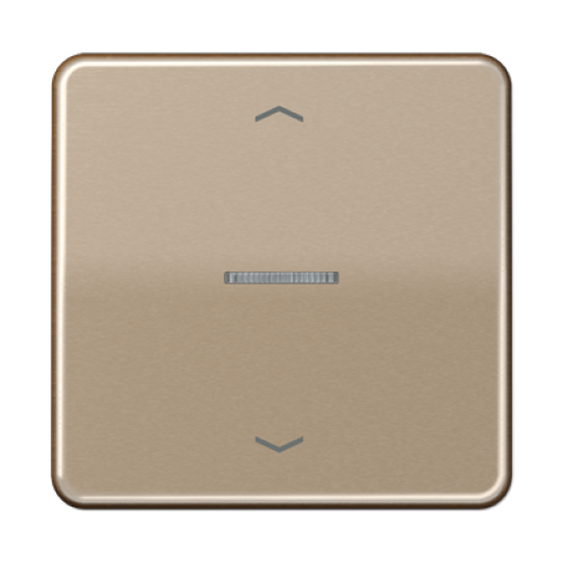 Tecla JUNG HOME pers. 1F CD bronce-oro